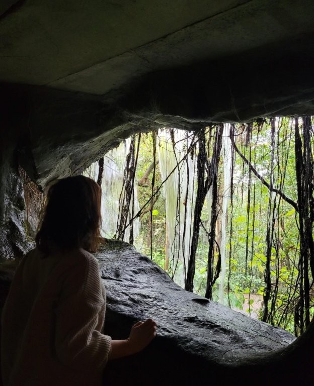 Person blickt aus einer dunklen Höhle durch herabhängende Wurzeln auf einen hellen, grünen Wald im Tageslicht