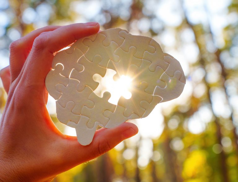holding puzzle piece shaped like brain with sunlight background